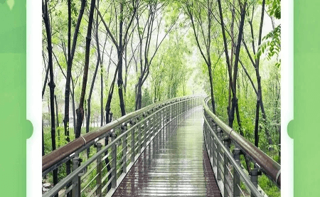 不可辜負(fù)的美，與春天有個(gè)約會(huì)