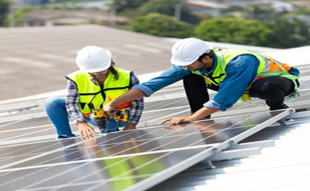 速看，這所2W人高校如何利用暑期，快速搭建綠色校園